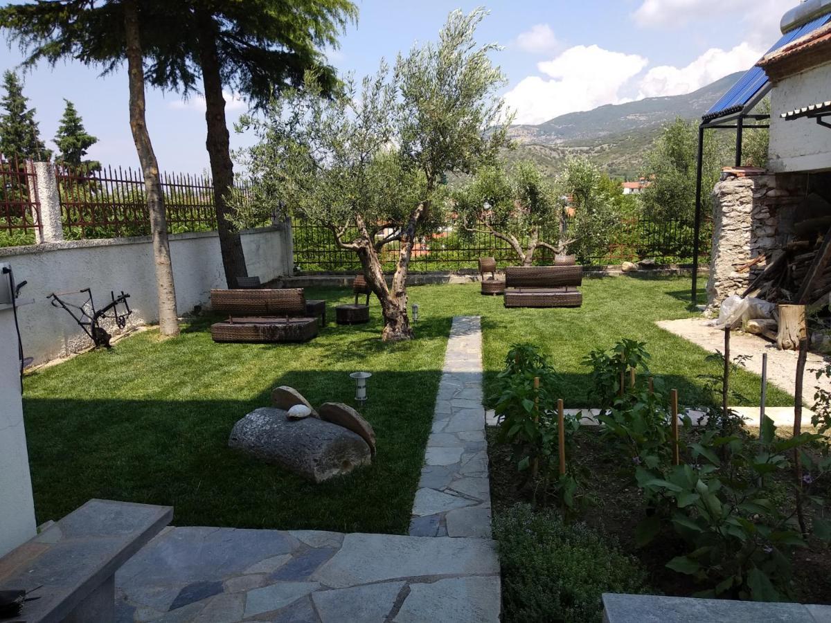 Villa Agnanti Apts And Suites Agio Pnevma Exteriér fotografie