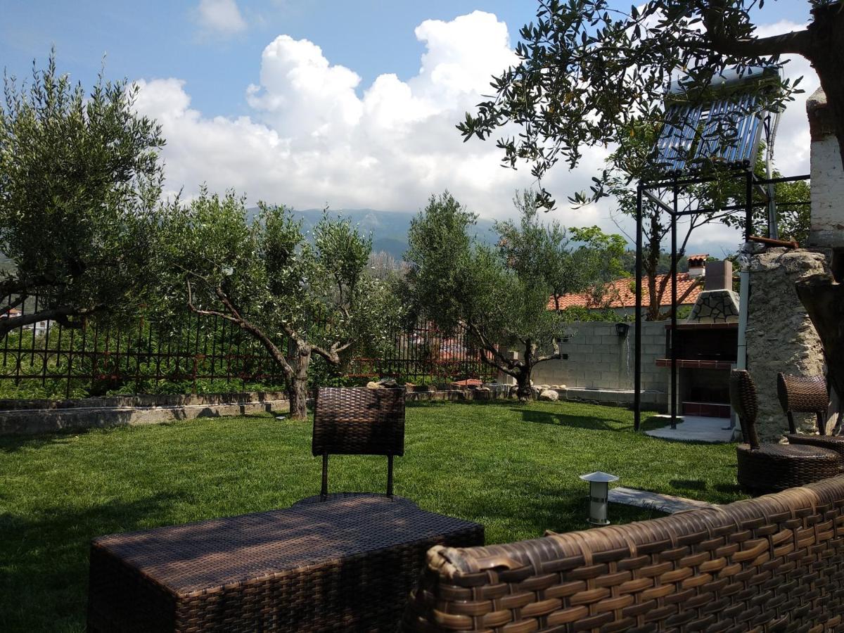 Villa Agnanti Apts And Suites Agio Pnevma Exteriér fotografie