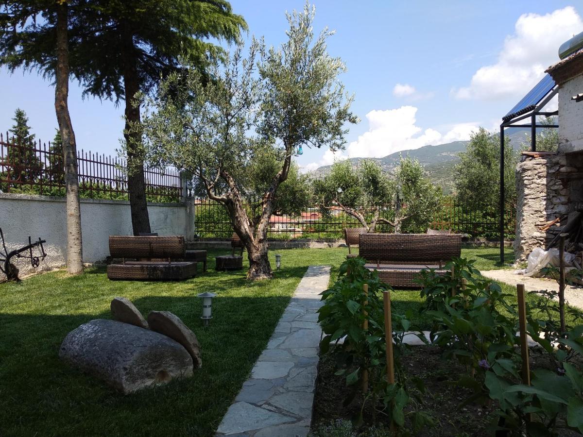 Villa Agnanti Apts And Suites Agio Pnevma Exteriér fotografie